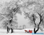 北國霧淞-雪鄉(xiāng)-長白山攝影采風